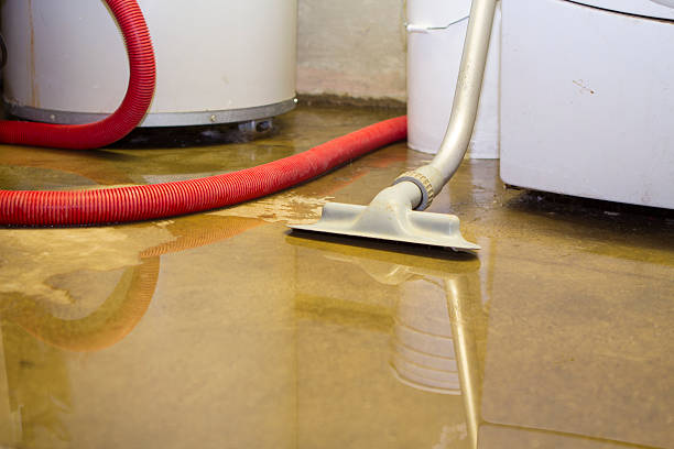 Best Basement Water Damage Restoration in Oak Park, CA